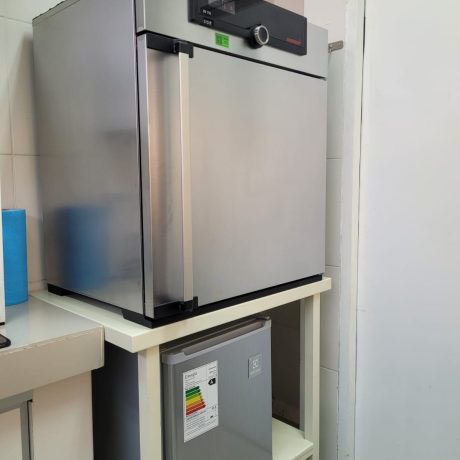 WhatsApp Image 2025-03-28 at 11.13.43