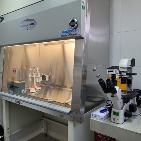 WhatsApp Image 2025-03-28 at 11.13.46