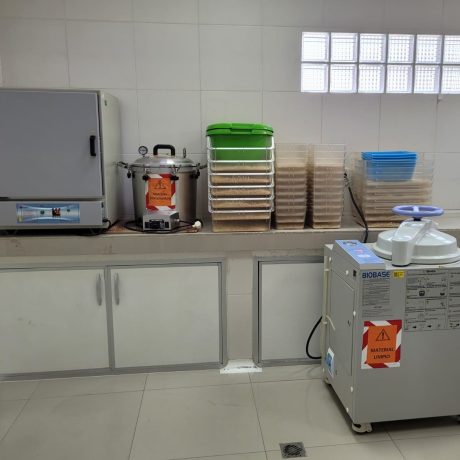 WhatsApp Image 2025-03-28 at 11.13.48